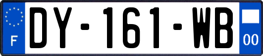 DY-161-WB