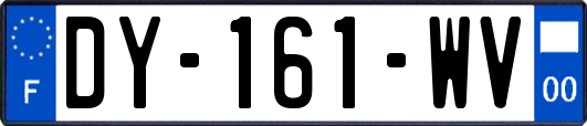 DY-161-WV