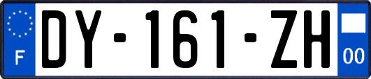 DY-161-ZH