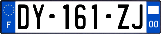 DY-161-ZJ