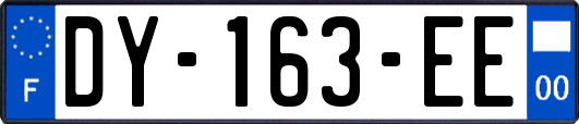 DY-163-EE