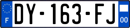 DY-163-FJ