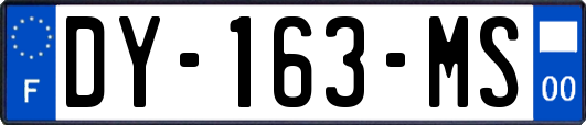 DY-163-MS