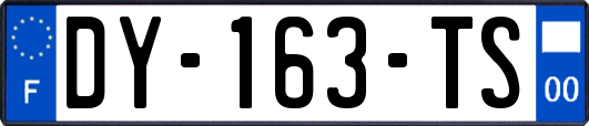 DY-163-TS