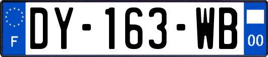 DY-163-WB