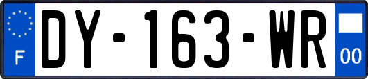 DY-163-WR