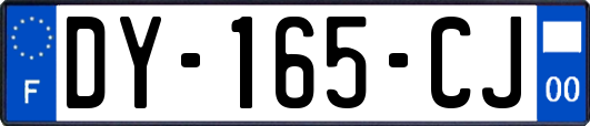 DY-165-CJ