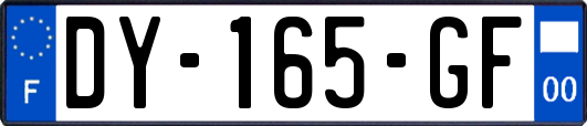 DY-165-GF