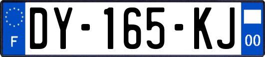 DY-165-KJ