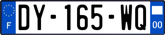 DY-165-WQ