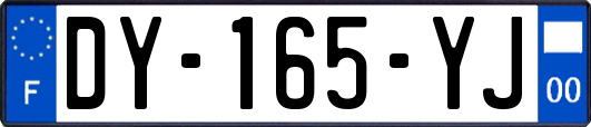 DY-165-YJ