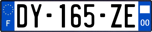 DY-165-ZE