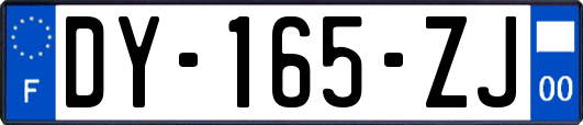 DY-165-ZJ