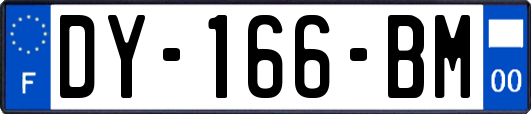 DY-166-BM