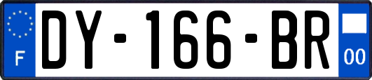 DY-166-BR
