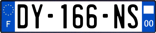 DY-166-NS