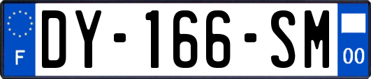 DY-166-SM