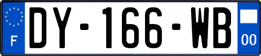 DY-166-WB