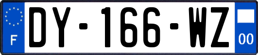 DY-166-WZ