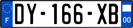 DY-166-XB