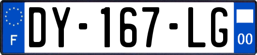 DY-167-LG