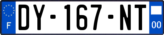 DY-167-NT