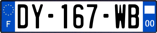 DY-167-WB