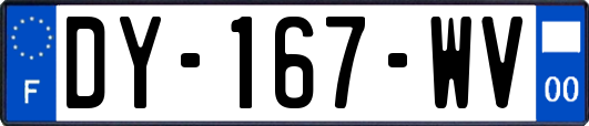 DY-167-WV