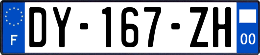 DY-167-ZH