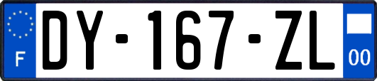 DY-167-ZL