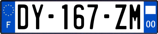 DY-167-ZM