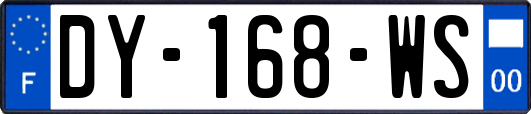 DY-168-WS