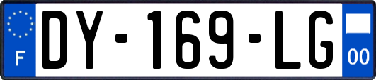 DY-169-LG