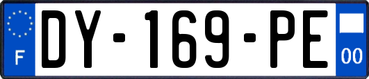 DY-169-PE
