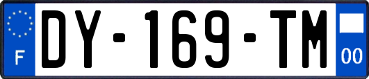 DY-169-TM