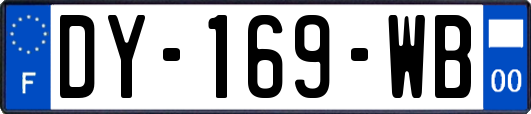 DY-169-WB