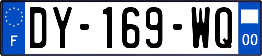 DY-169-WQ