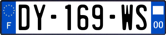 DY-169-WS