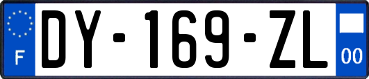 DY-169-ZL