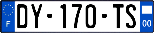 DY-170-TS