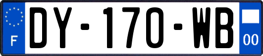 DY-170-WB