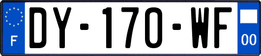 DY-170-WF