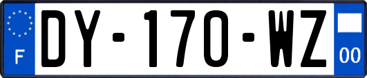 DY-170-WZ