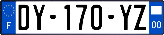 DY-170-YZ