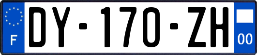 DY-170-ZH