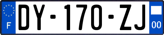 DY-170-ZJ