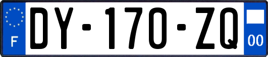 DY-170-ZQ