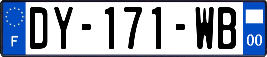 DY-171-WB