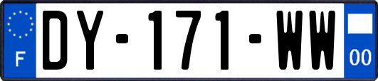 DY-171-WW