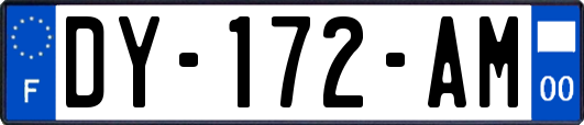 DY-172-AM